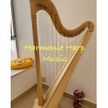SOLD - 2nd Hand Salvi Ana Deluxe 40 strings Lever Harp SOLD - 2nd Hand Salvi Ana Deluxe 40 strings Lever Harp